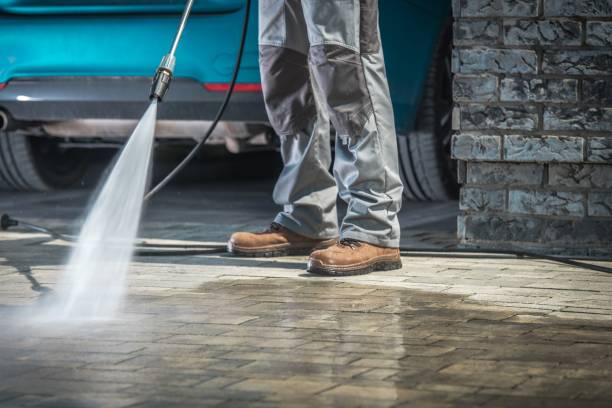 Best Winterizing Services  in Lely, FL